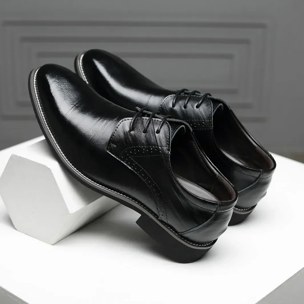 Carvani Oxford Dress Shoes
